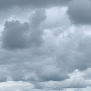 Meet your Posher, Mandi